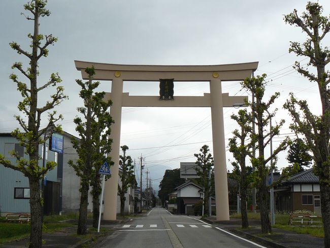 �����_��