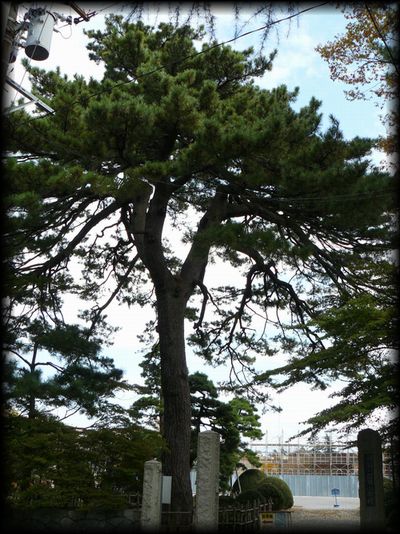 ���炩����