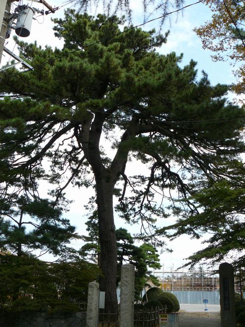 ���炩����