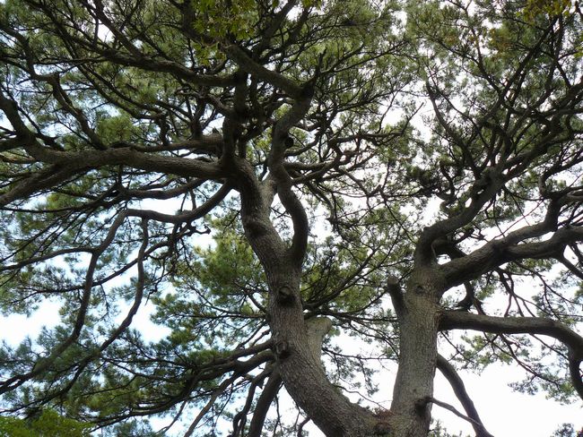 ���炩����