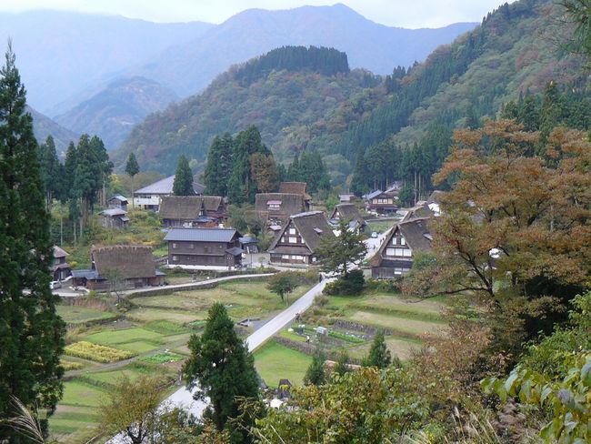 �܉ӎR���q�W��