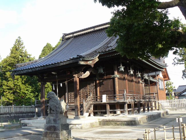 �˔j���Ύ�