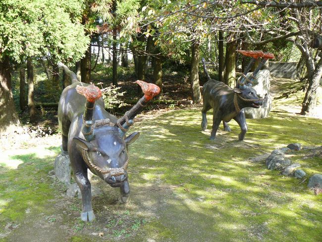 �䗘��������