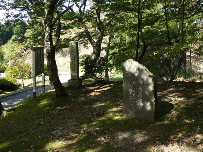 �s���̒���