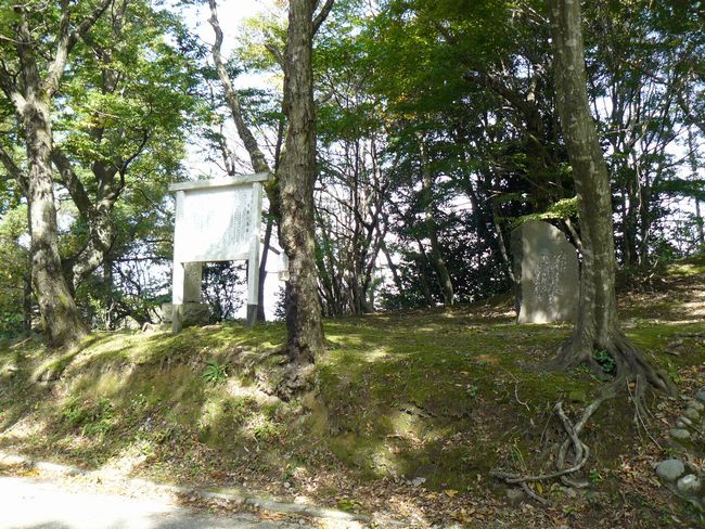 �s���̒���