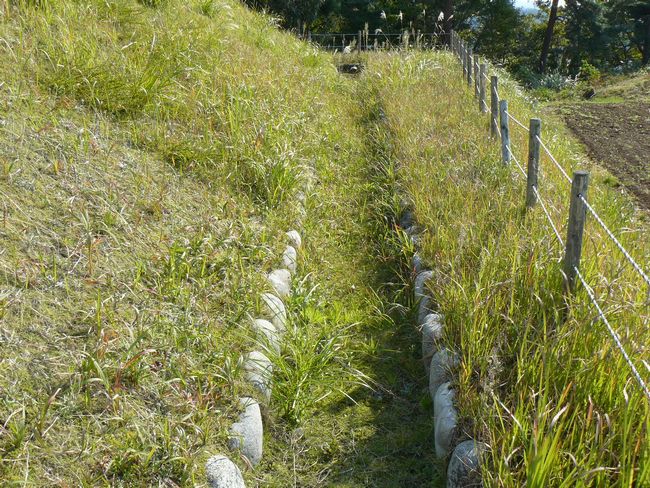 ���É���Õ�