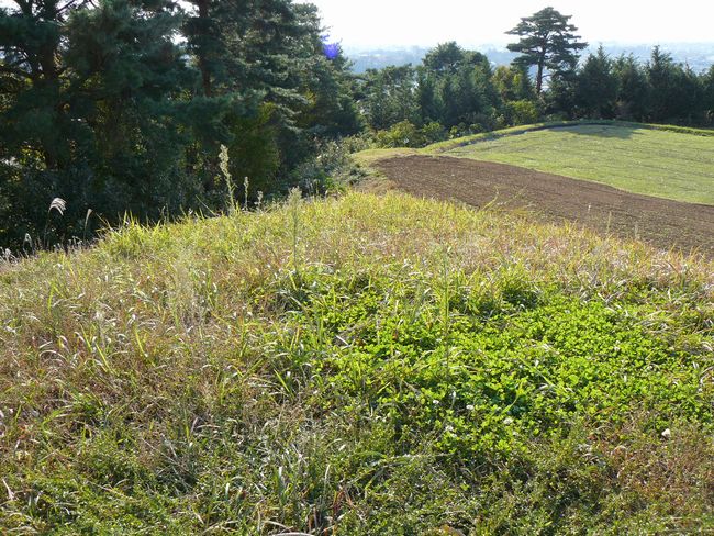 ���É���Õ�