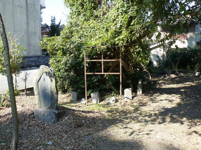 �n�_�ˁE�O���̑�P���L�E�O���̉���