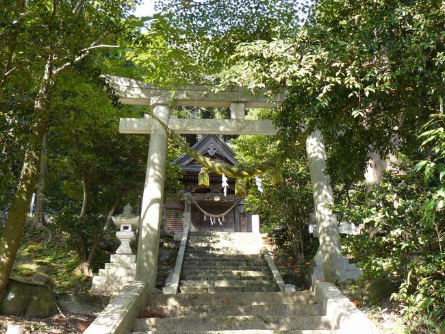 ���R�_��