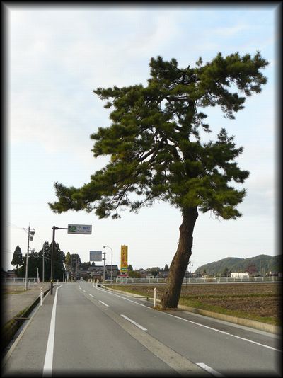 �M���X����