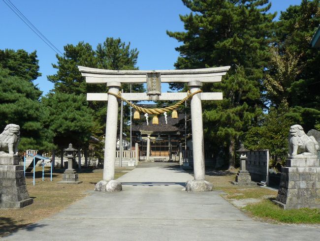 �V���_��