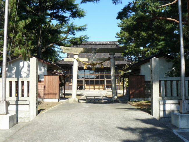 �V���_��