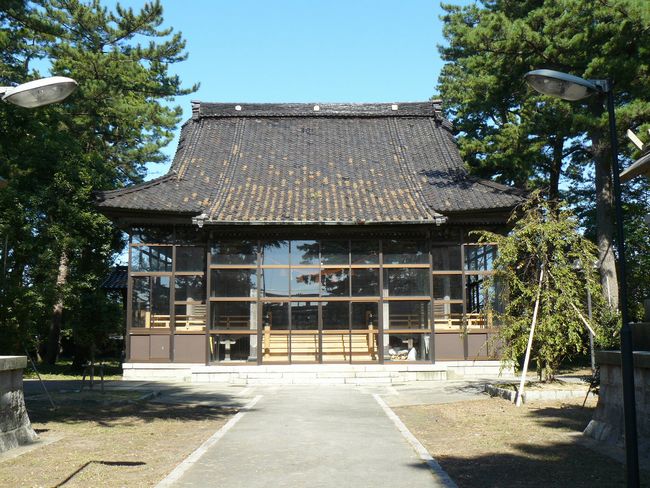 �V���_��