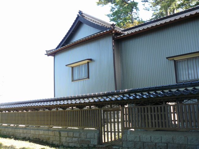 �V���_��