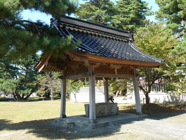 �V���_��