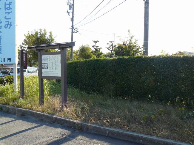 �h���L�P�P�E������