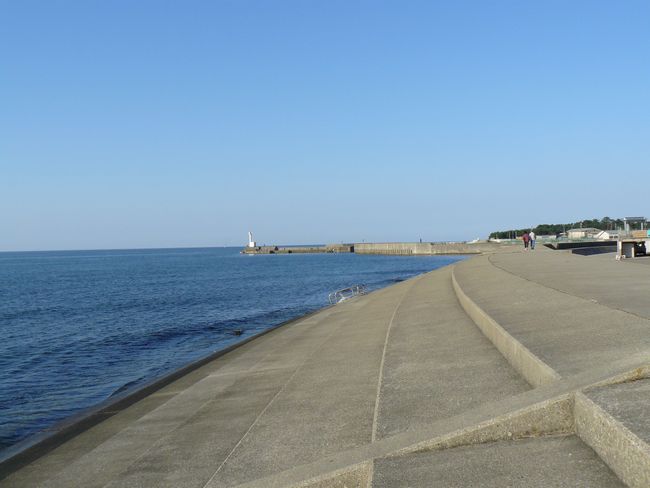 �h���L�Q�E�a�c�̕l�Ð��