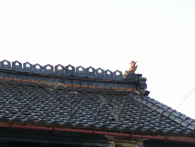 ����ƏZ��