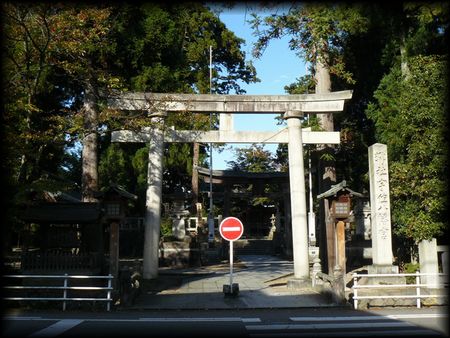 �����F�������{