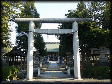 ����_����