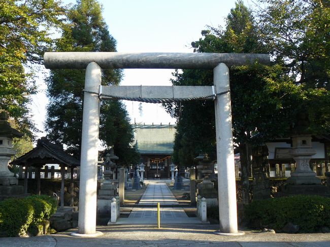 ����_����