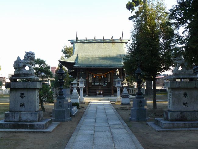 ����_����