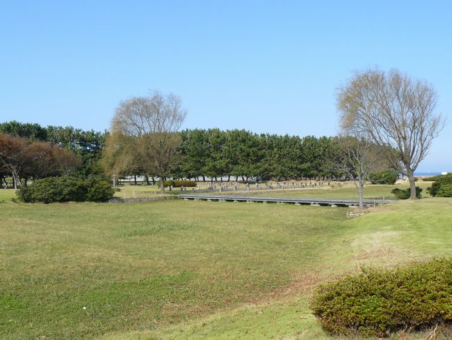 ���傤�ׂ̂܈��