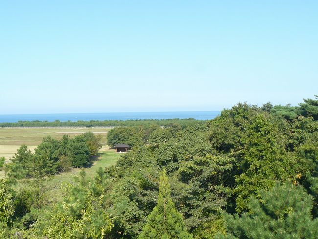 ����̑�X�M