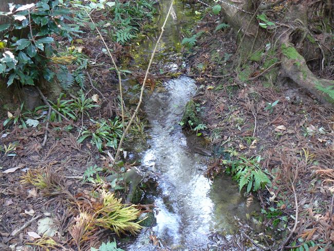 ����̑�X�M