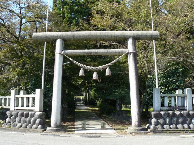 ��n�_����