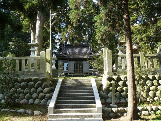 ��n�_����