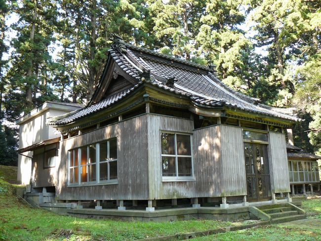 ��n�_����