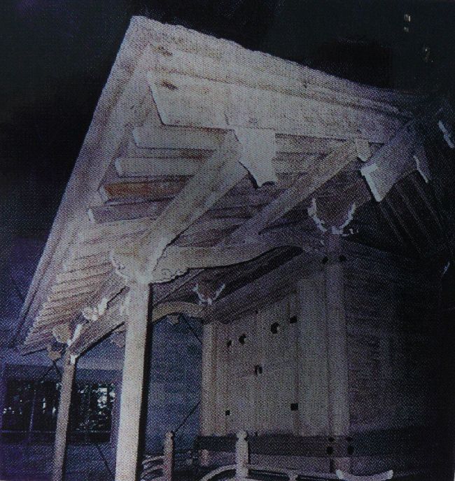 ��n�_����