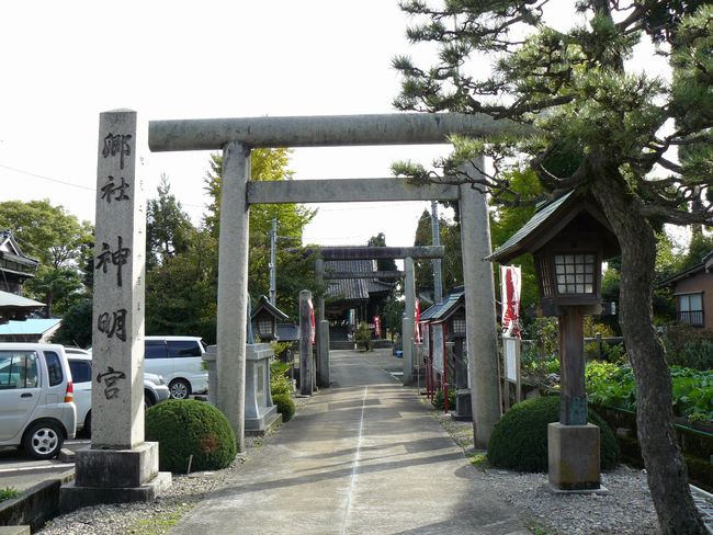 �����_���{