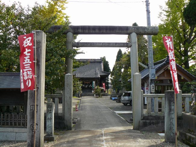 �����_���{