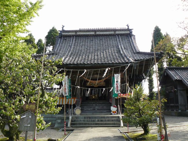 �����_���{