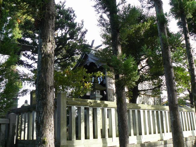 �����_���{