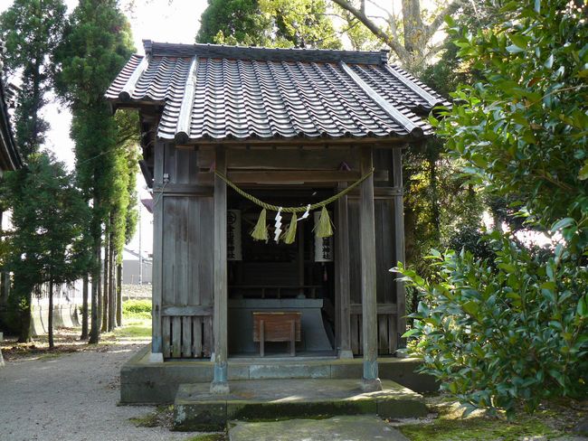 �����_���{