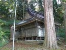 日吉社社殿左斜め前方と立山杉の大木