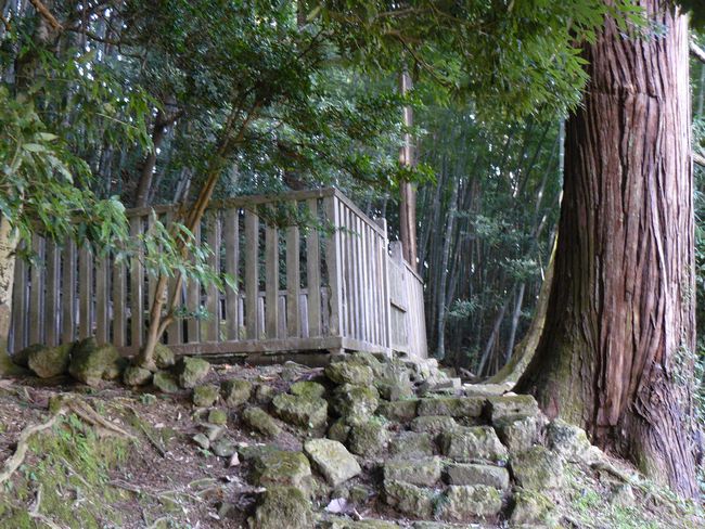 �O�c�G�p�̕�