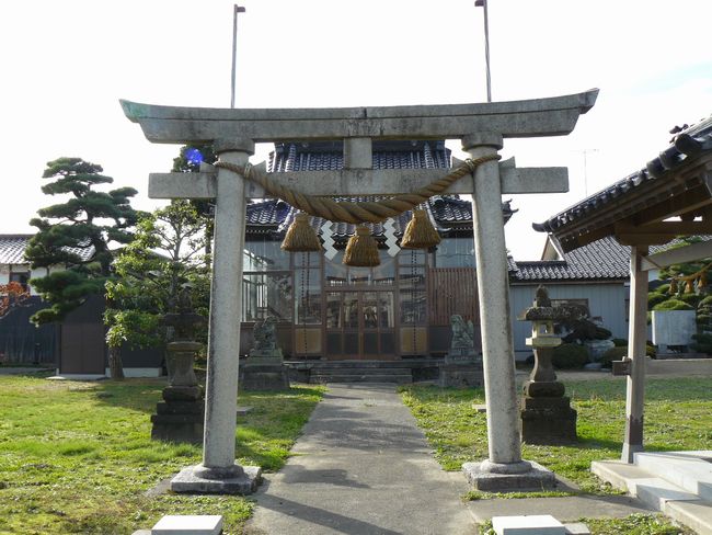 �����_��