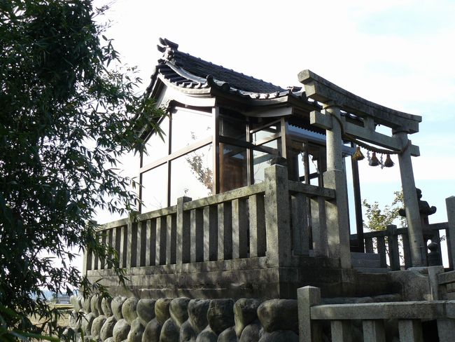 �����_��