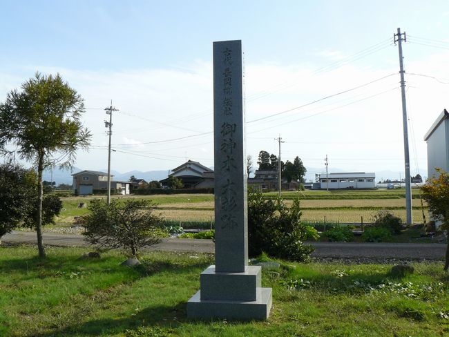 �����_��