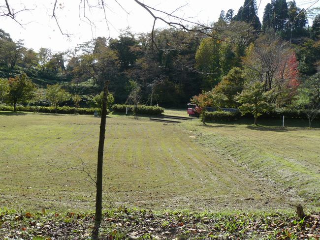 ���Γ���