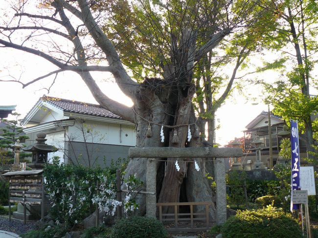 �L�E�������{