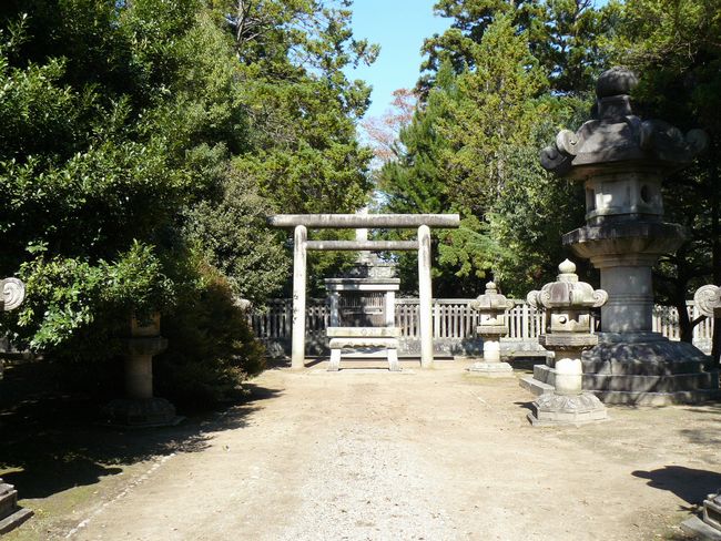 �O�c�����揊