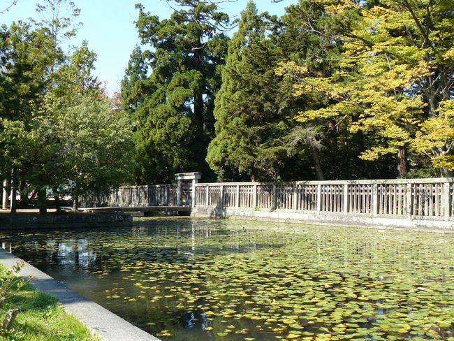 �O�c�����揊