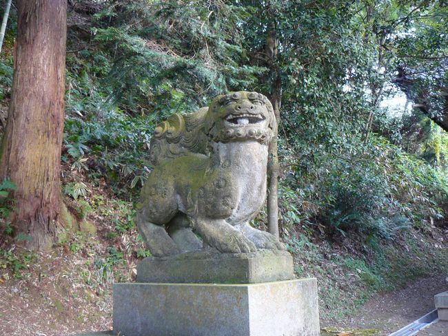 �����_��