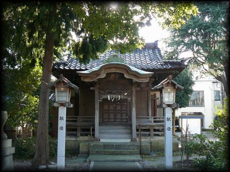 ��蒬�_����