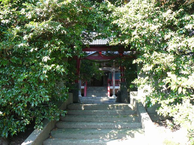 ���R�_��